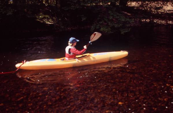 kayak1.jpg (27496 bytes)