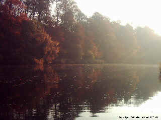 Autumn colours reflected - South Tyne below Haydon Bridge.