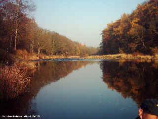 Autumn colours South Tyne below Haydon Bridge.