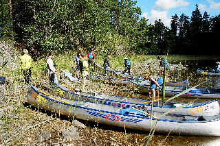 Lunch in the reeds.