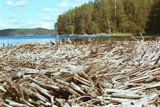 Evidence of an old planking mill, Stora Le.